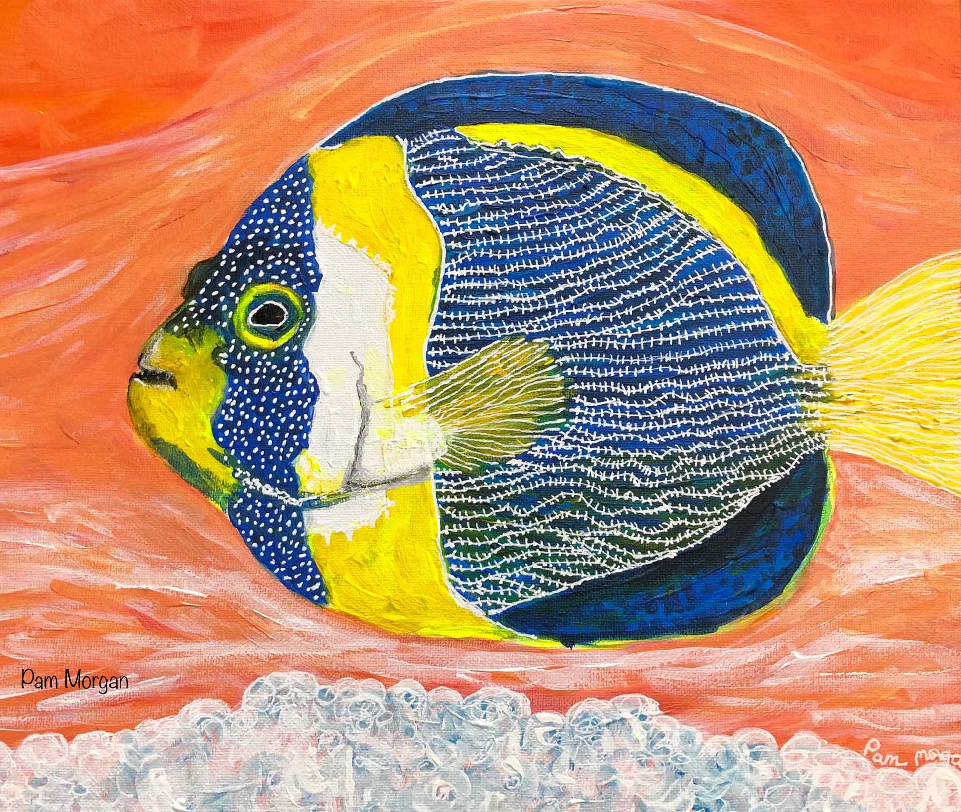 mixed media animal painting of colorful angelfish in coral reef
